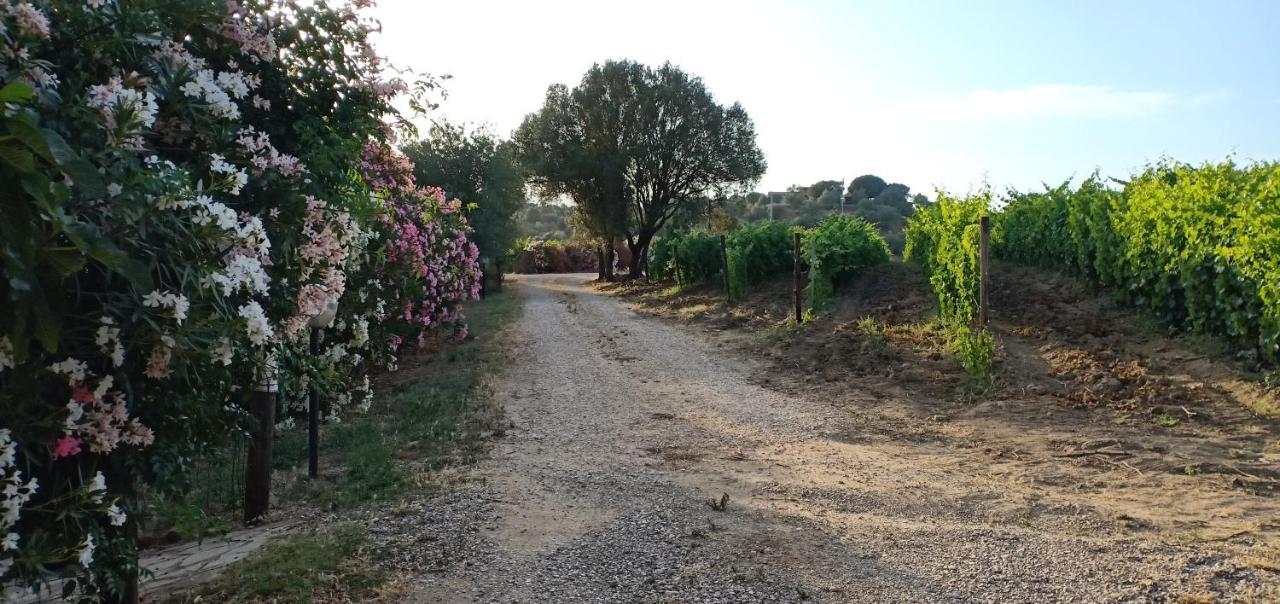 Agriturismo Muristene Βίλα Dorgali Εξωτερικό φωτογραφία