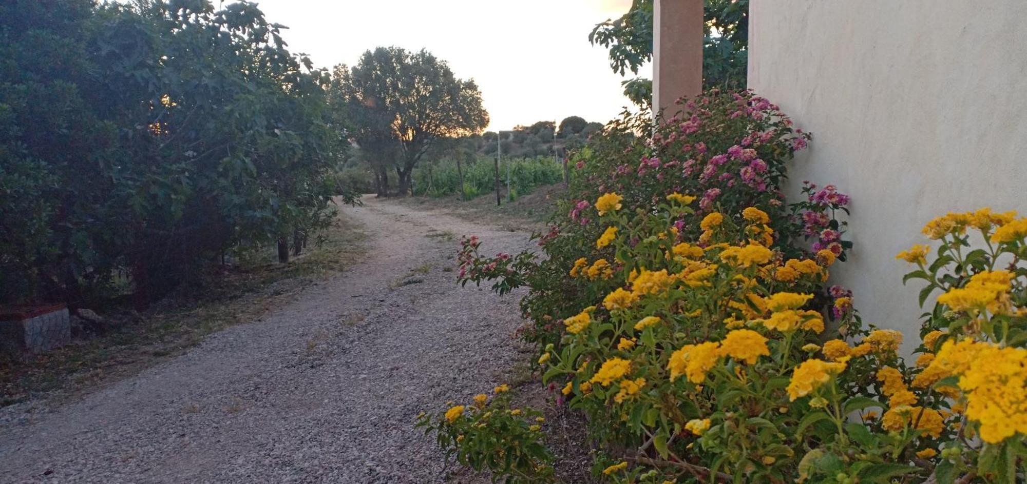 Agriturismo Muristene Βίλα Dorgali Εξωτερικό φωτογραφία